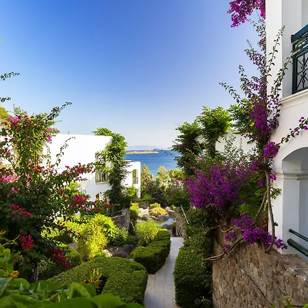 Θέρετρο Royal Asarlik Gümbet