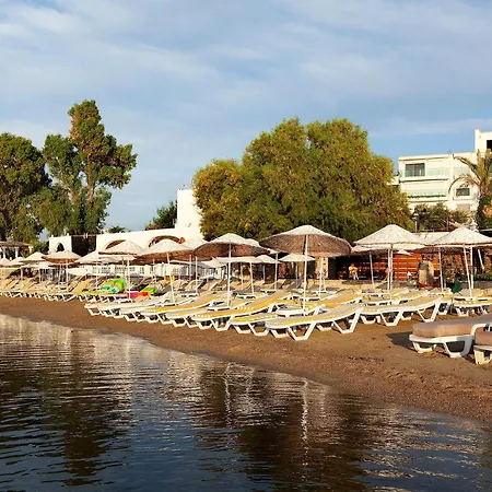 Royal Asarlik Θέρετρο
