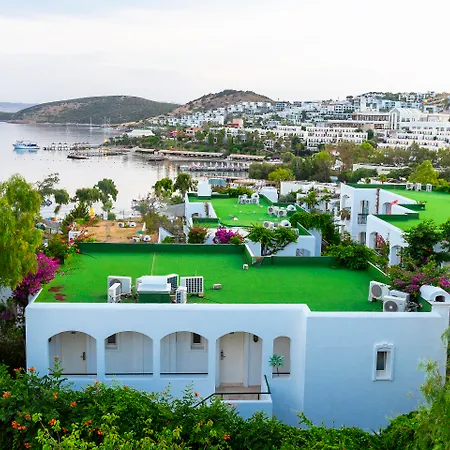 Royal Asarlik Θέρετρο Gümbet