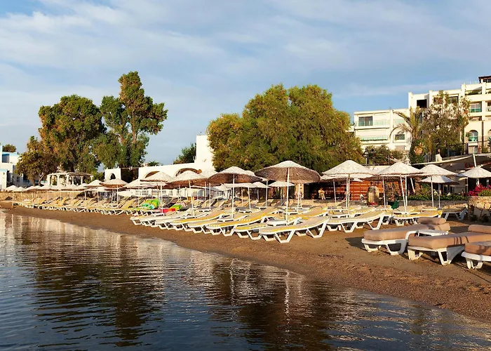Royal Asarlik Θέρετρο